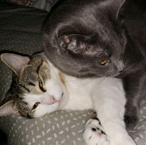 Meet your Posher, Janice